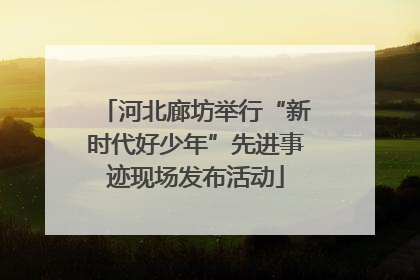 河北廊坊举行“新时代好少年”先进事迹现场发布活动