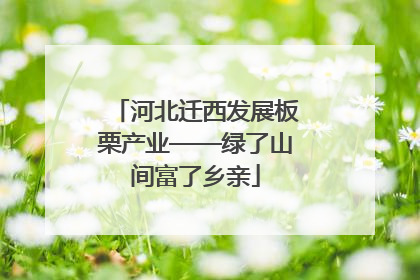 河北迁西发展板栗产业——绿了山间富了乡亲
