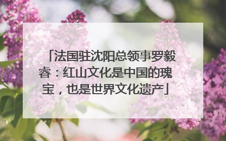 法国驻沈阳总领事罗毅睿：红山文化是中国的瑰宝，也是世界文化遗产