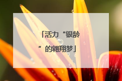 活力“银龄”的翱翔梦