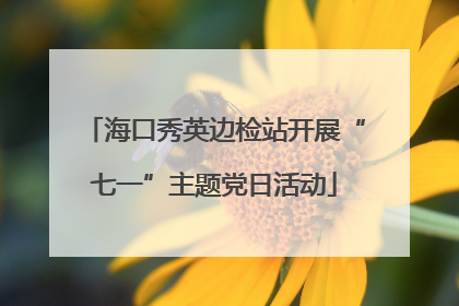 海口秀英边检站开展“七一”主题党日活动