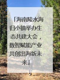 海南陵水海归小镇举办生态共建大会，数智赋能产业共创出海新未来