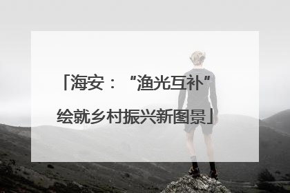 海安：“渔光互补” 绘就乡村振兴新图景