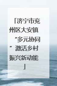 济宁市兖州区大安镇“多元协同”激活乡村振兴新动能