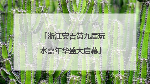 浙江安吉第九届玩水嘉年华盛大启幕