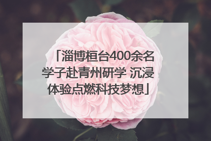 淄博桓台400余名学子赴青州研学 沉浸体验点燃科技梦想
