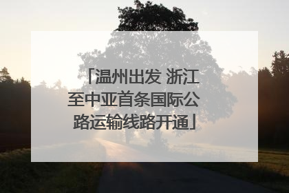 温州出发 浙江至中亚首条国际公路运输线路开通
