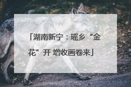 湖南新宁：瑶乡“金花”开 增收画卷来