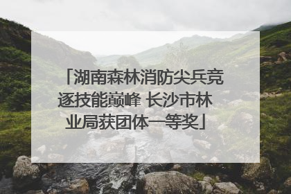 湖南森林消防尖兵竞逐技能巅峰 长沙市林业局获团体一等奖
