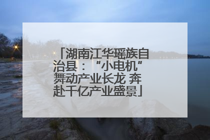 湖南江华瑶族自治县：“小电机”舞动产业长龙 奔赴千亿产业盛景