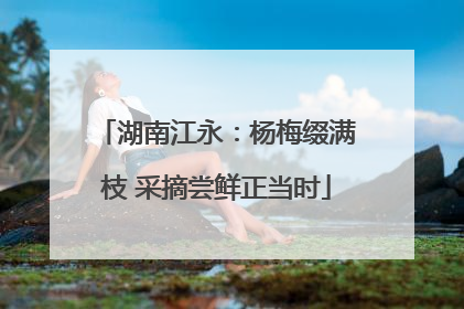 湖南江永：杨梅缀满枝 采摘尝鲜正当时