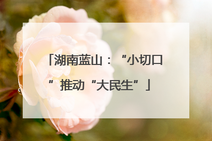 湖南蓝山：“小切口”推动“大民生”