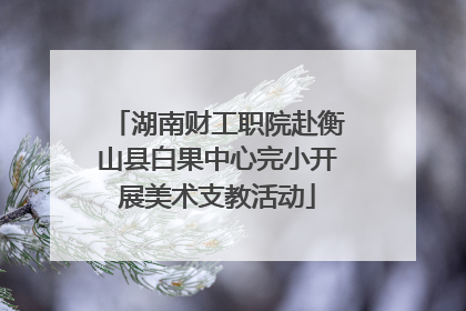 湖南财工职院赴衡山县白果中心完小开展美术支教活动