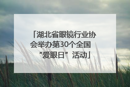 湖北省眼镜行业协会举办第30个全国“爱眼日”活动