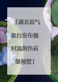 湖北省气象台发布强对流黄色省级预警