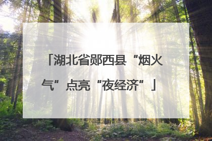 湖北省郧西县“烟火气”点亮“夜经济”