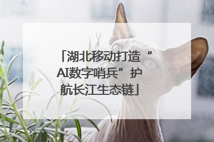 湖北移动打造“AI数字哨兵”护航长江生态链