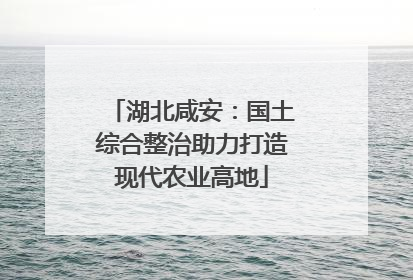 湖北咸安：国土综合整治助力打造现代农业高地