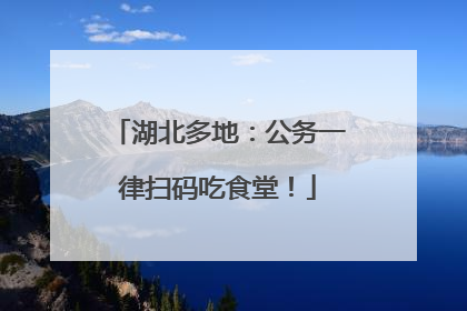 湖北多地：公务一律扫码吃食堂！