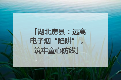 湖北房县：远离电子烟“陷阱”，筑牢童心防线
