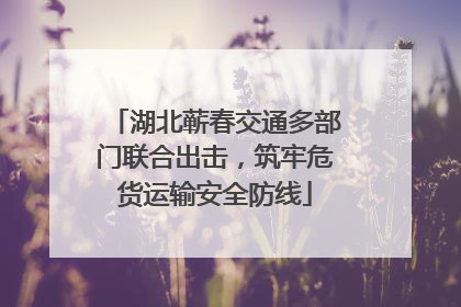 湖北蕲春交通多部门联合出击，筑牢危货运输安全防线