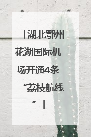 湖北鄂州花湖国际机场开通4条“荔枝航线”