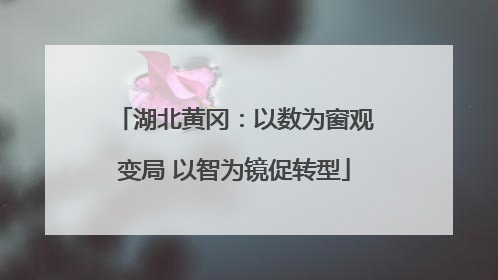 湖北黄冈：以数为窗观变局 以智为镜促转型