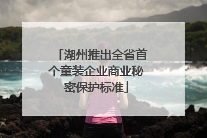 湖州推出全省首个童装企业商业秘密保护标准