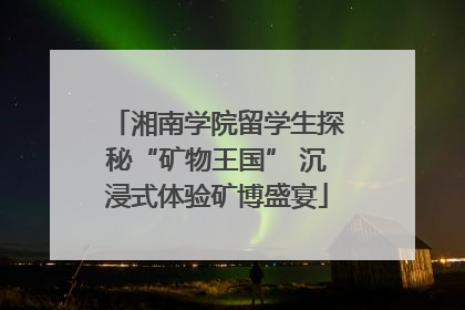 湘南学院留学生探秘“矿物王国” 沉浸式体验矿博盛宴