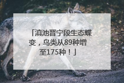 滇池晋宁段生态蝶变，鸟类从89种增至175种！