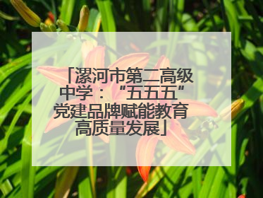 漯河市第二高级中学：“五五五”党建品牌赋能教育高质量发展