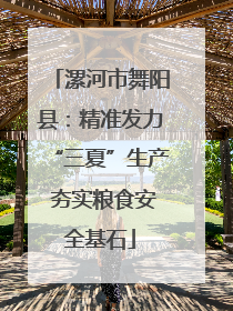 漯河市舞阳县：精准发力“三夏”生产 夯实粮食安全基石