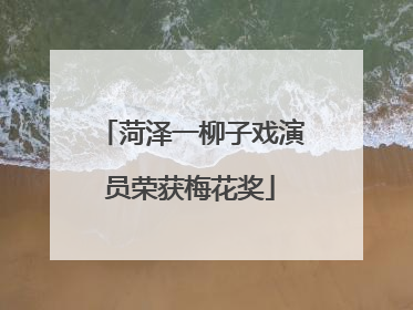 菏泽一柳子戏演员荣获梅花奖
