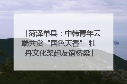菏泽单县：中韩青年云端共赏“国色天香” 牡丹文化架起友谊桥梁