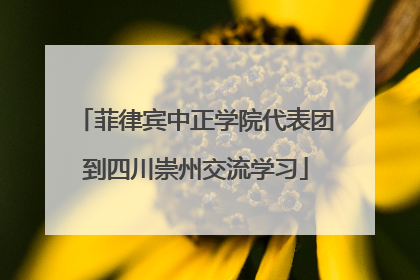 菲律宾中正学院代表团到四川崇州交流学习