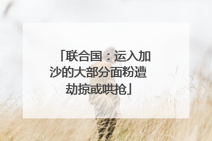 联合国：运入加沙的大部分面粉遭劫掠或哄抢
