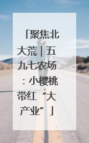 聚焦北大荒｜五九七农场：小樱桃带红“大产业”