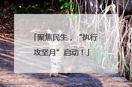 聚焦民生，“执行攻坚月”启动！