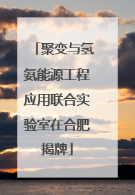 聚变与氢氨能源工程应用联合实验室在合肥揭牌