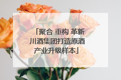 聚合 重构 革新 川酒集团打造原酒产业升级样本