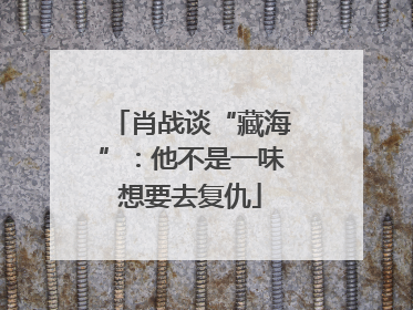 肖战谈“藏海”：他不是一味想要去复仇