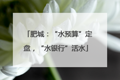 肥城：“水预算”定盘，“水银行”活水