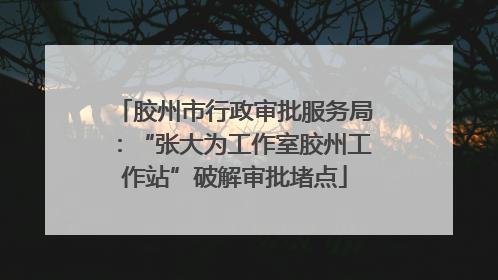胶州市行政审批服务局：“张大为工作室胶州工作站”破解审批堵点