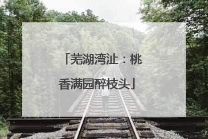 芜湖湾沚：桃香满园醉枝头