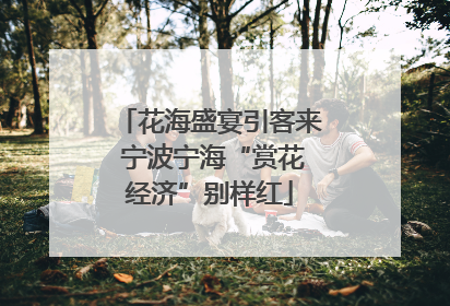 花海盛宴引客来 宁波宁海“赏花经济”别样红