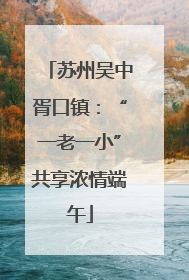 苏州吴中胥口镇：“一老一小”共享浓情端午