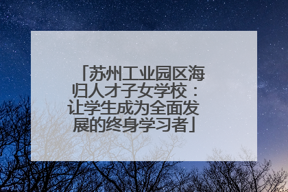 苏州工业园区海归人才子女学校：让学生成为全面发展的终身学习者