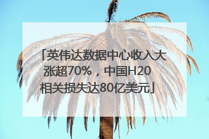 英伟达数据中心收入大涨超70%，中国H20相关损失达80亿美元