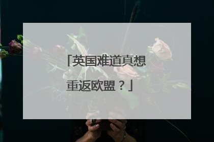 英国难道真想重返欧盟？