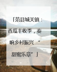 范县城关镇：香瓜丰收季，奏响乡村振兴 “甜蜜乐章”